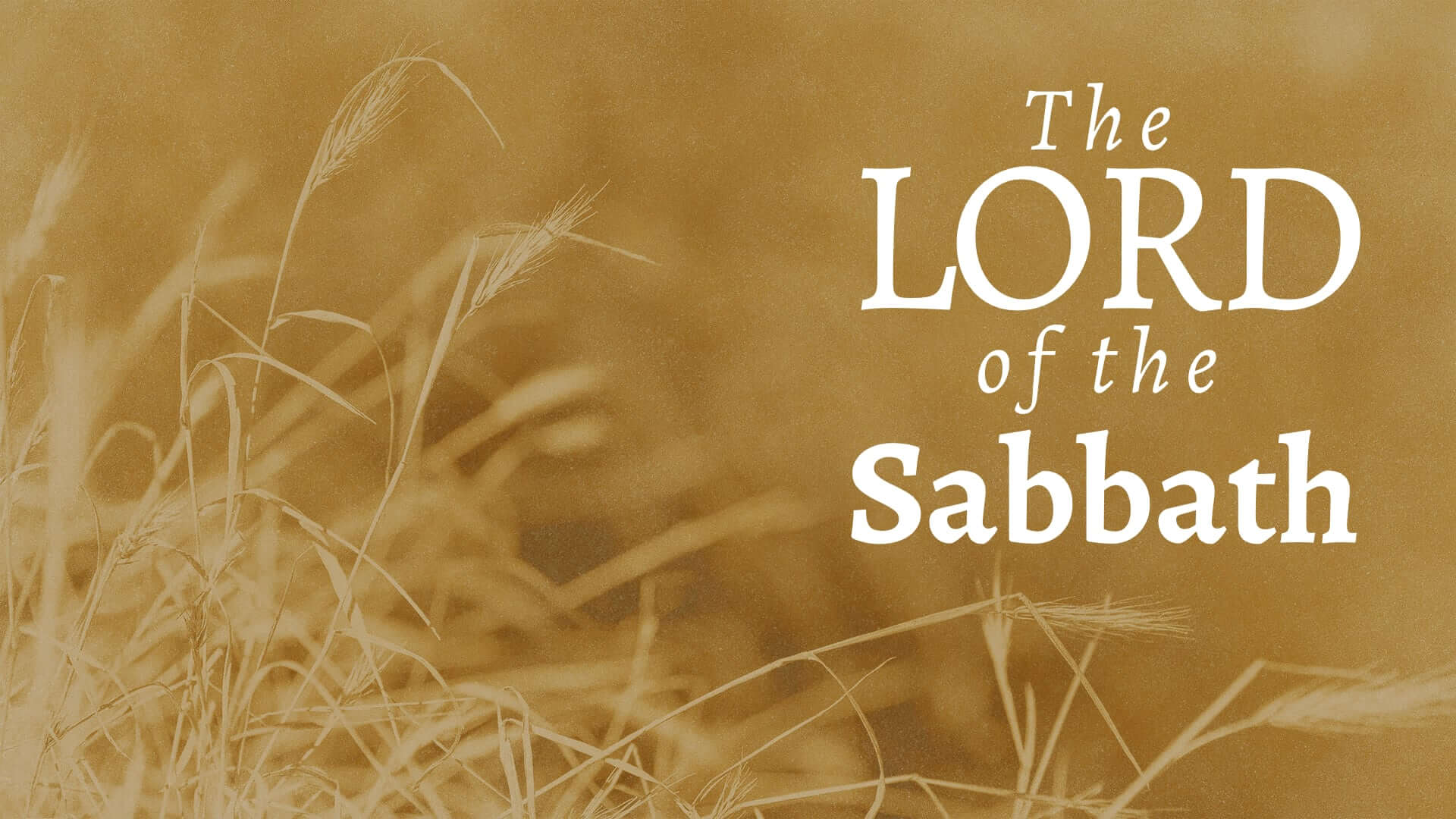 The Lord of the Sabbath